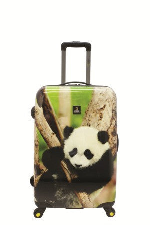 Gabee.com.au-National Geographic-PANDA HARD SIDE LUGGAGE-Set of 2 49 & 71cm-Luggage