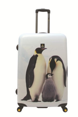 Gabee.com.au-National Geographic-PENGUIN HARD SIDE LUGGAGE-Set of 2 49 & 71cm-Luggage