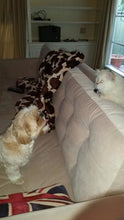 Load image into Gallery viewer, Lexington 2pc Sectional Sofa CHOICE OF FABRICS
